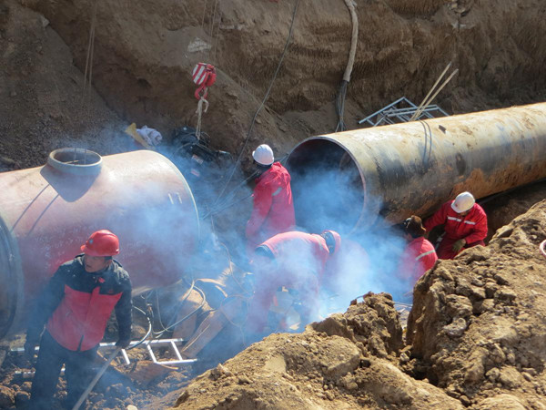 2013����������������&1219����������