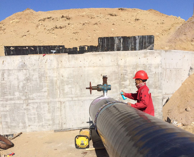 ���ɹ���Ŀ������͸��������