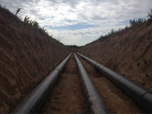 ��֣������������